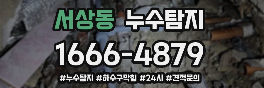 누수닥터 누수탐지