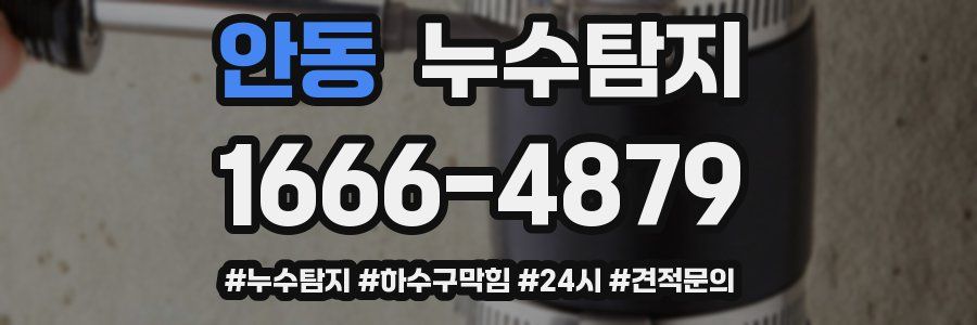 누수닥터 누수탐지