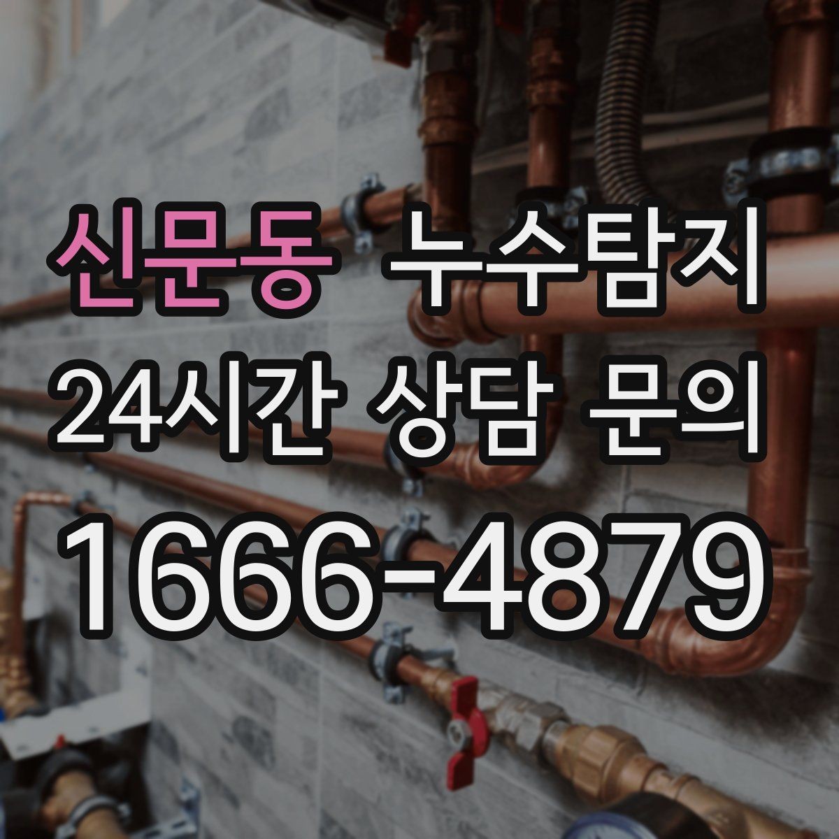 신문동 누수탐지 작은 물자국에서 시작된 대처 일지