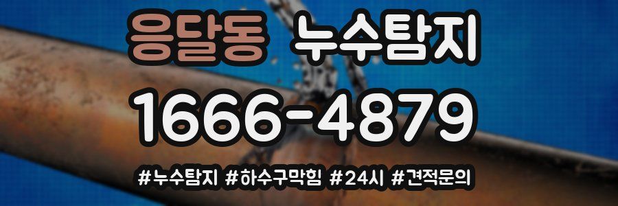 누수닥터 누수탐지