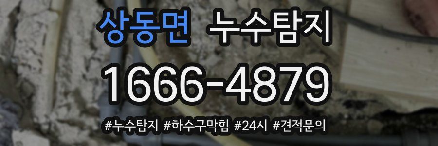 누수닥터 누수탐지