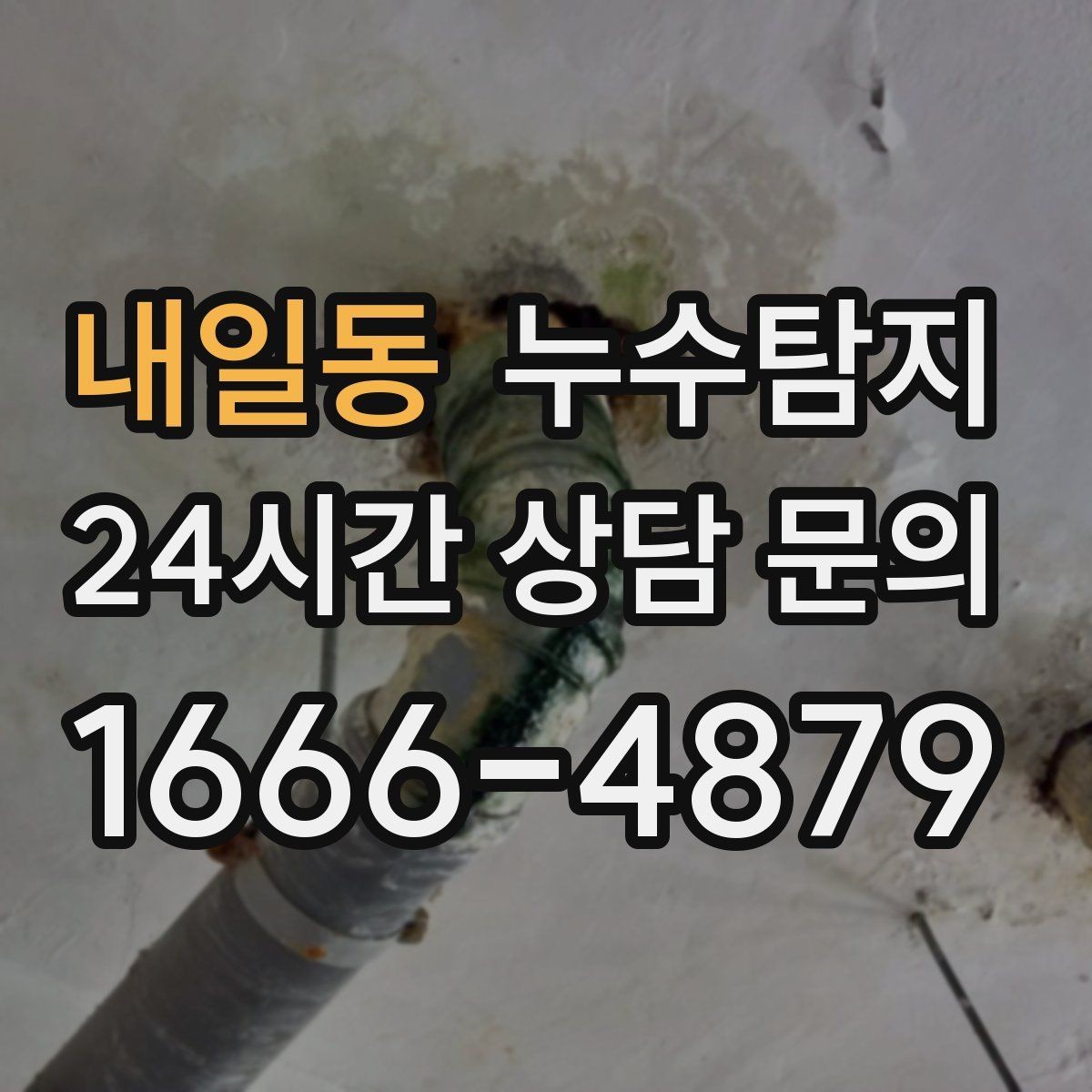 내일동 누수탐지 배관 재질에 따른 대응 노트