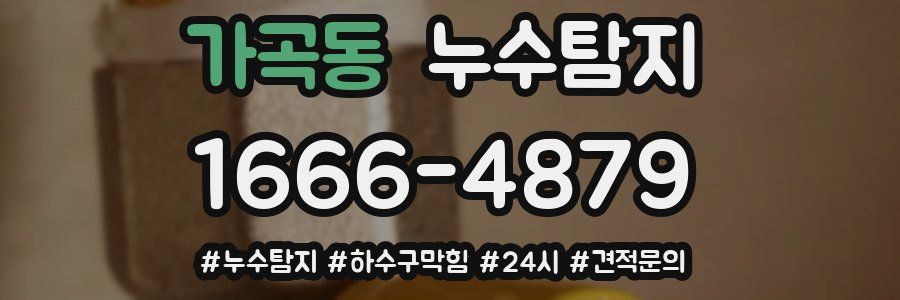 누수닥터 누수탐지