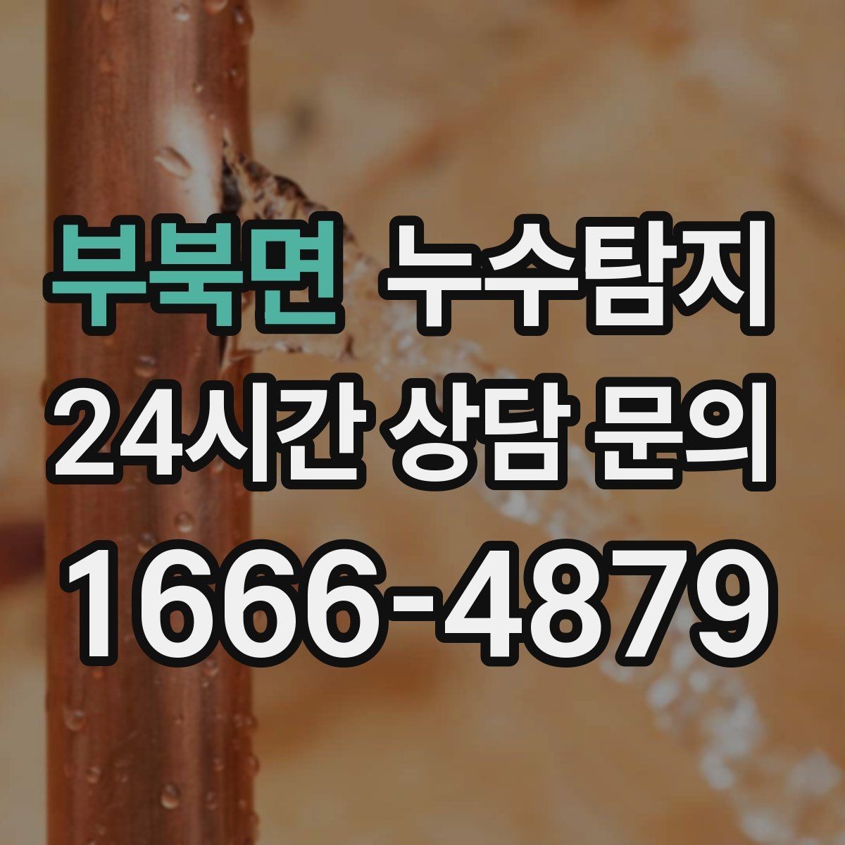 부북면 누수탐지 보고서 읽는 법 초보 가이드