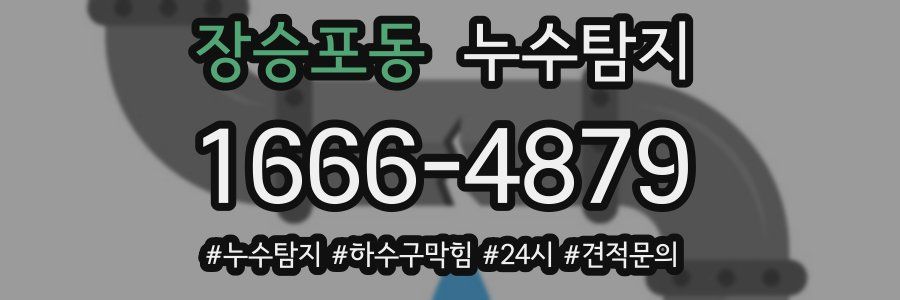 누수닥터 누수탐지