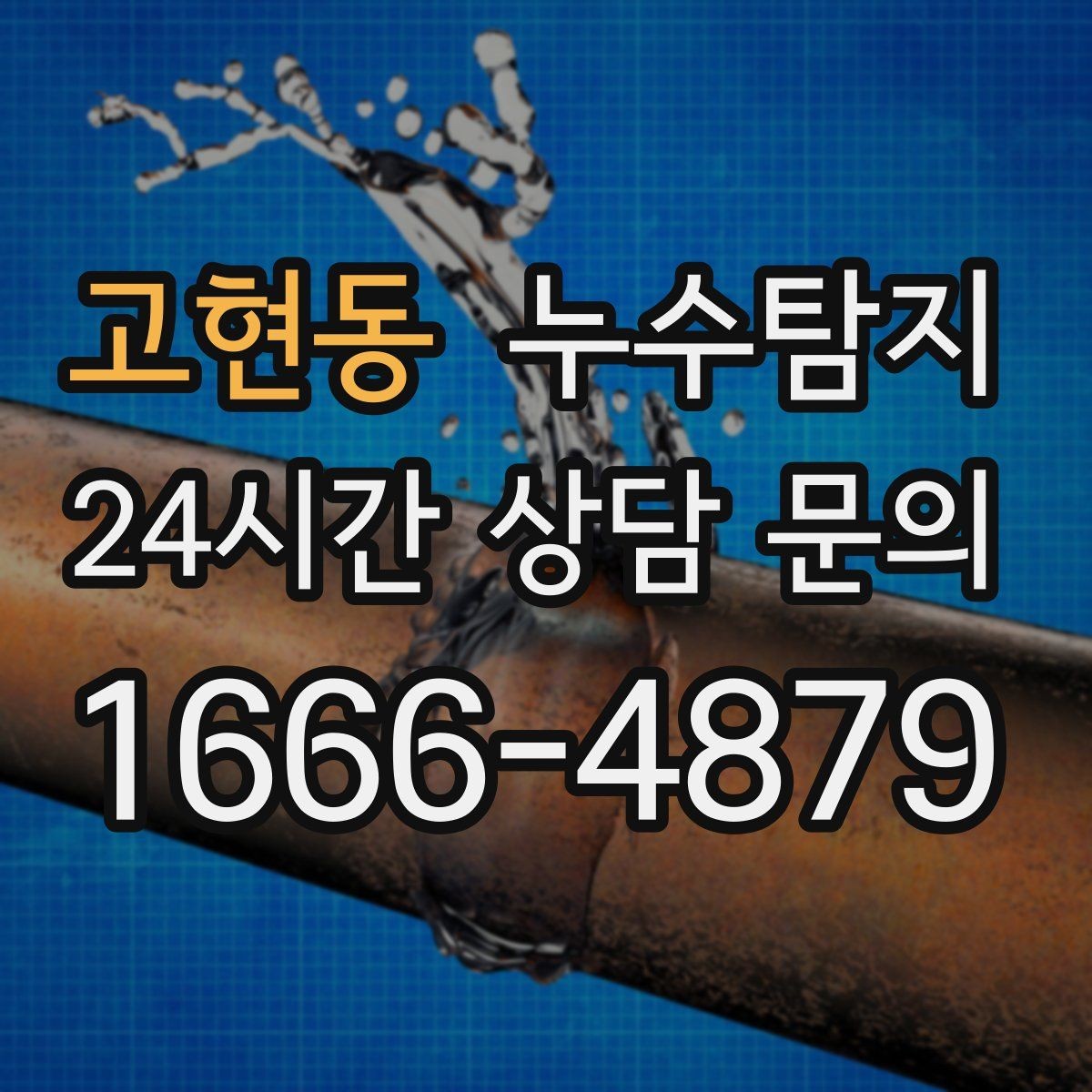 고현동 누수탐지 가구 뒤 곰팡이 원인 파헤치기
