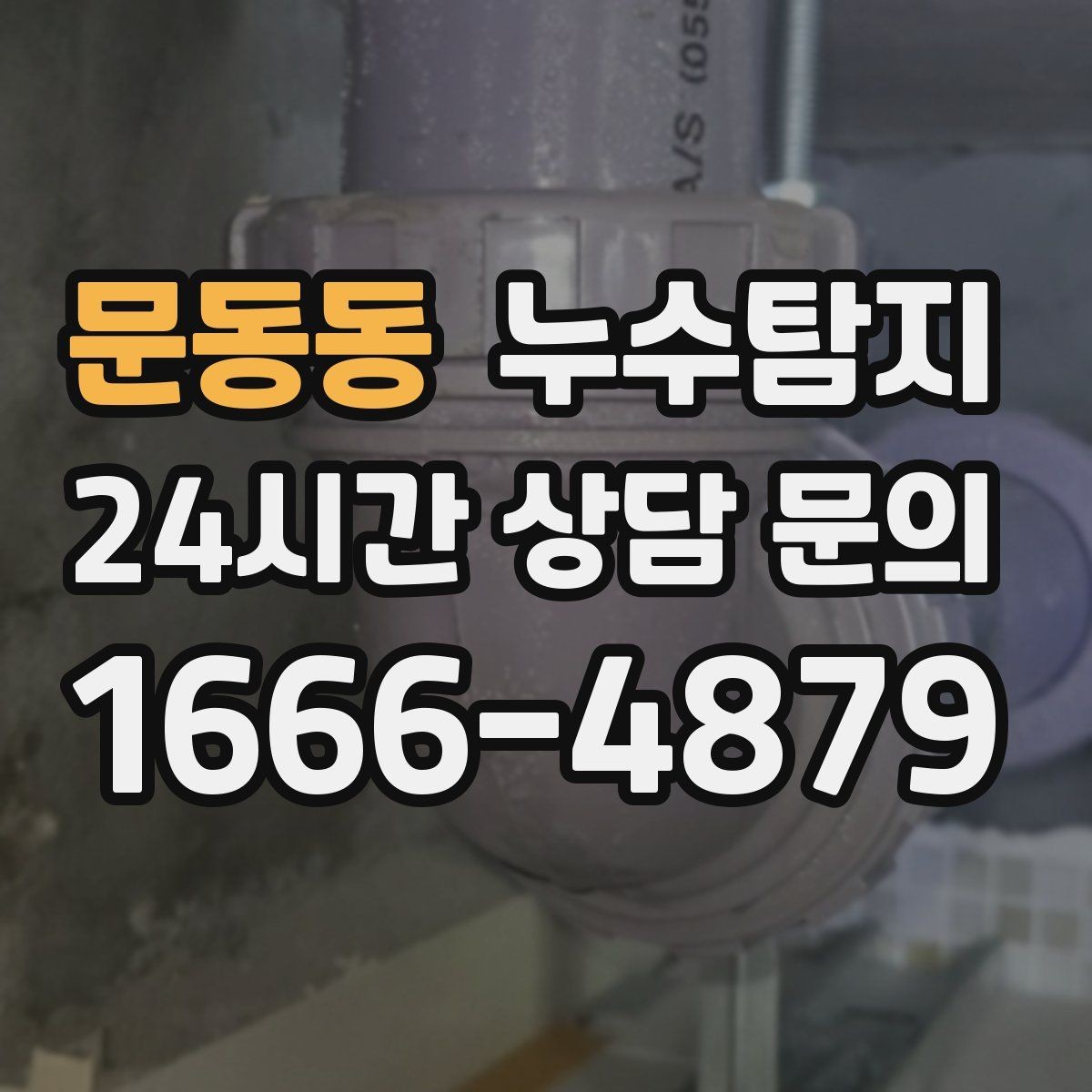 문동동 누수탐지 결로일까 누수일까 구분 가이드