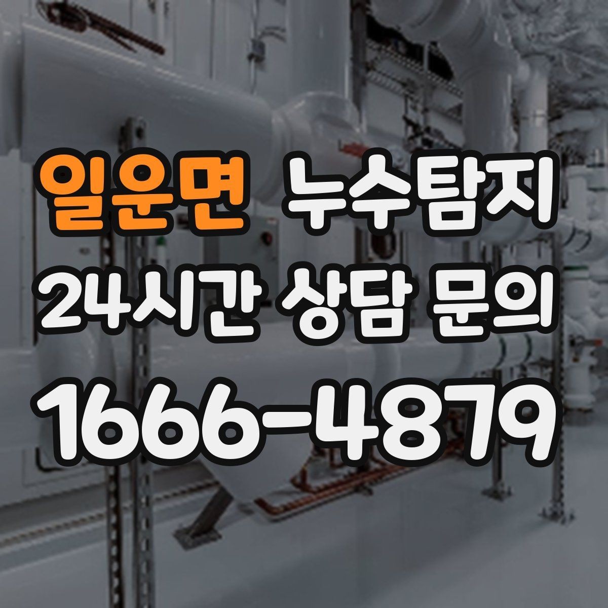 일운면 누수탐지 배수 트랩 역류 냄새 해결
