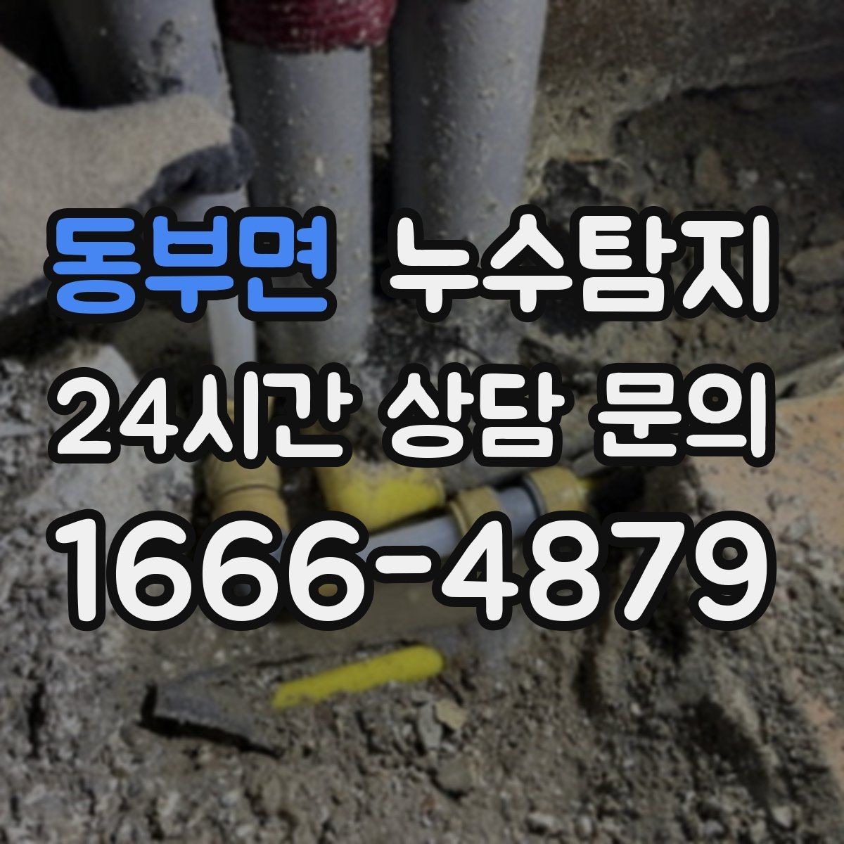 동부면 누수탐지 상가 영업 중 조용한 점검기