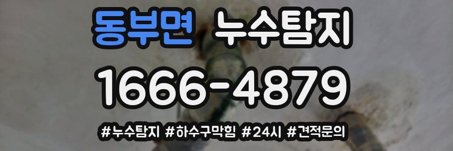 누수닥터 누수탐지