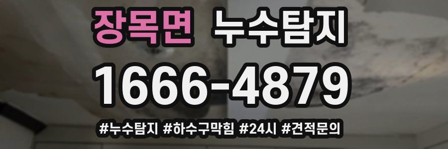 누수닥터 누수탐지