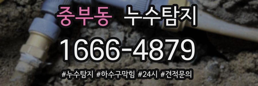 누수닥터 누수탐지