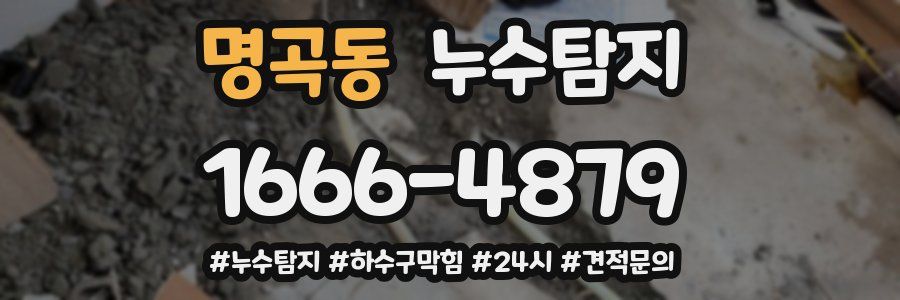 누수닥터 누수탐지