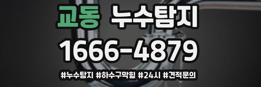 누수닥터 누수탐지