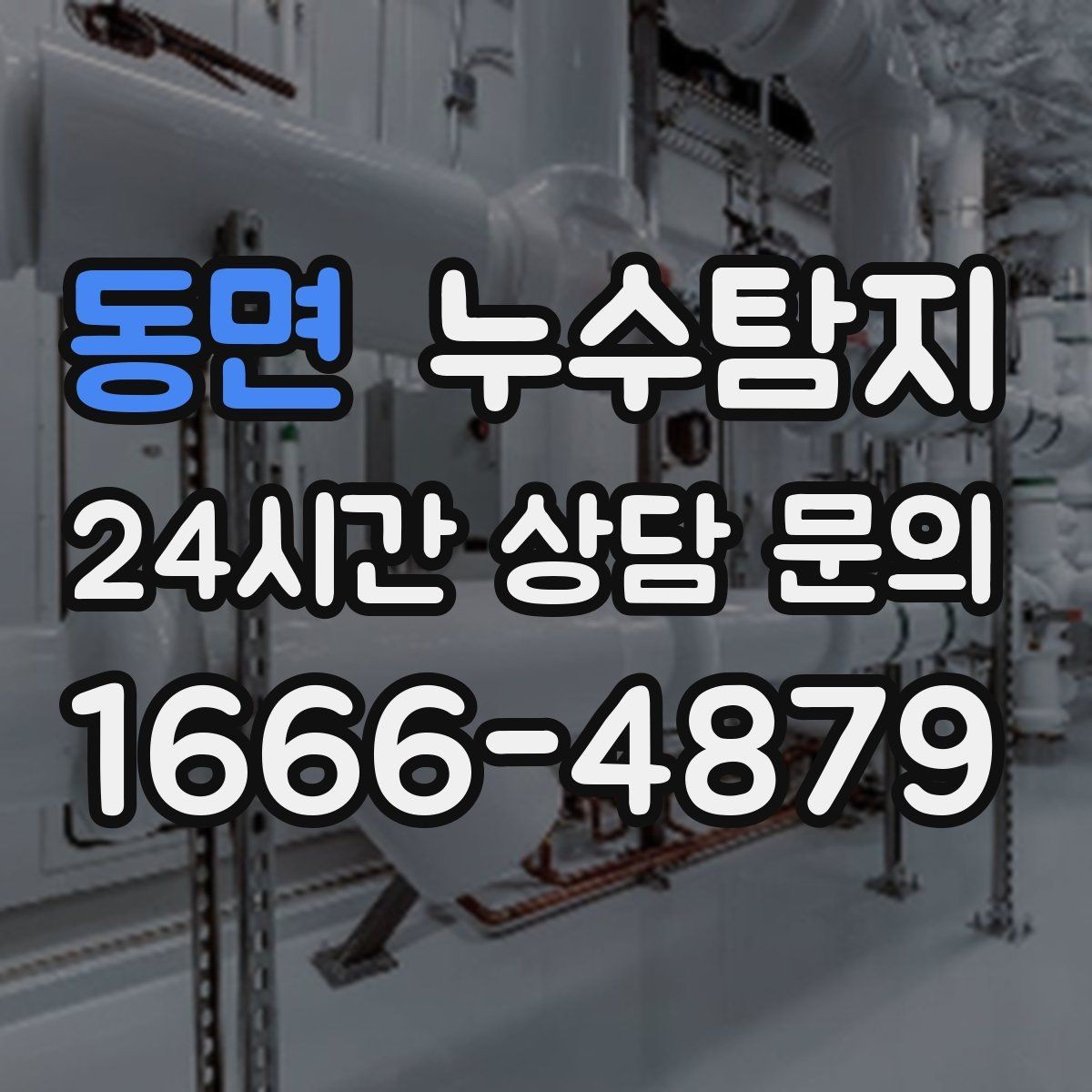 동면 누수탐지 노후 배관 교체 진단 가이드