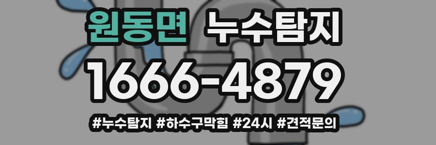 누수닥터 누수탐지