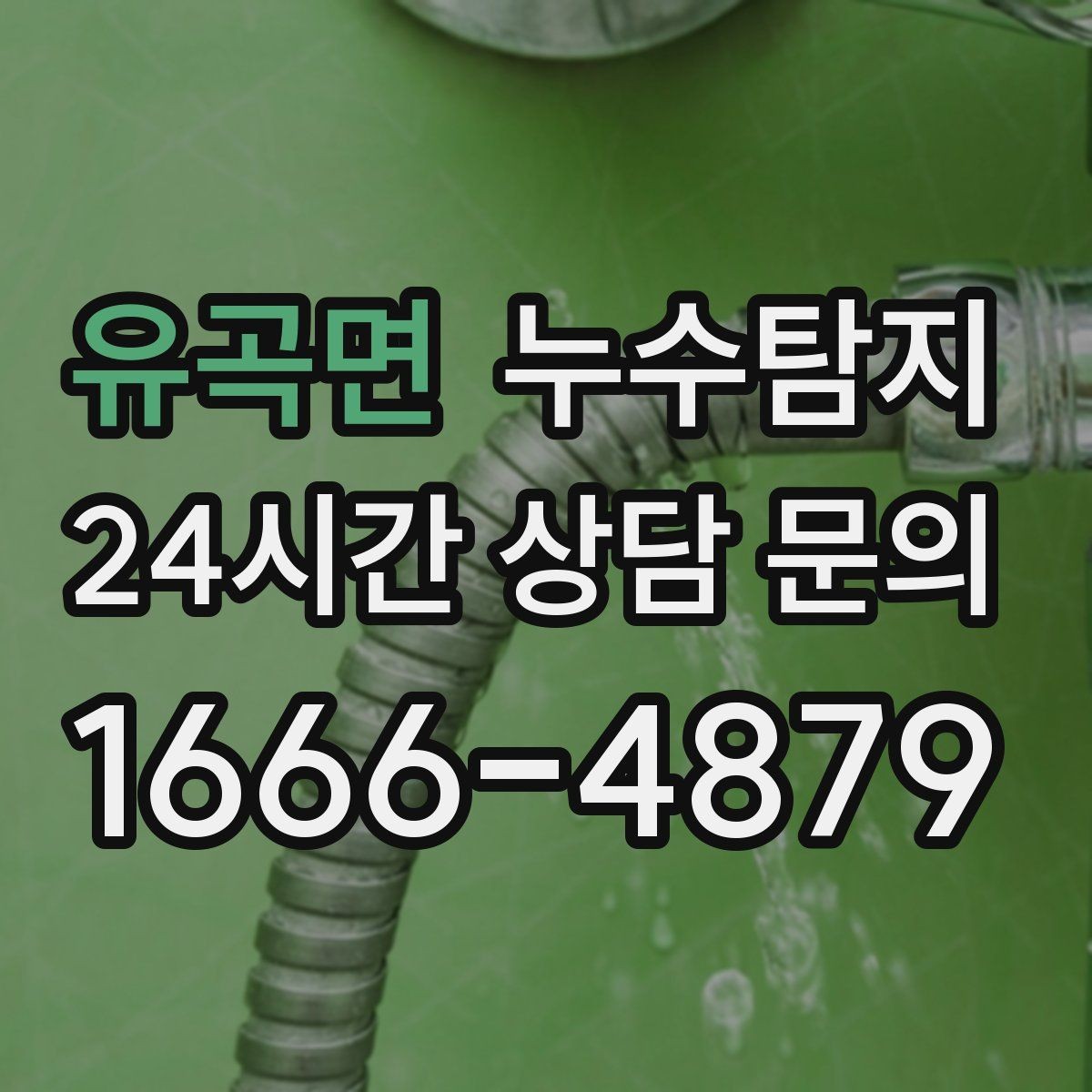 유곡면 누수탐지 동파 누수 긴급 점검