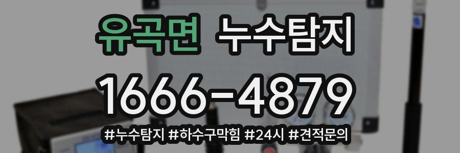 누수닥터 누수탐지