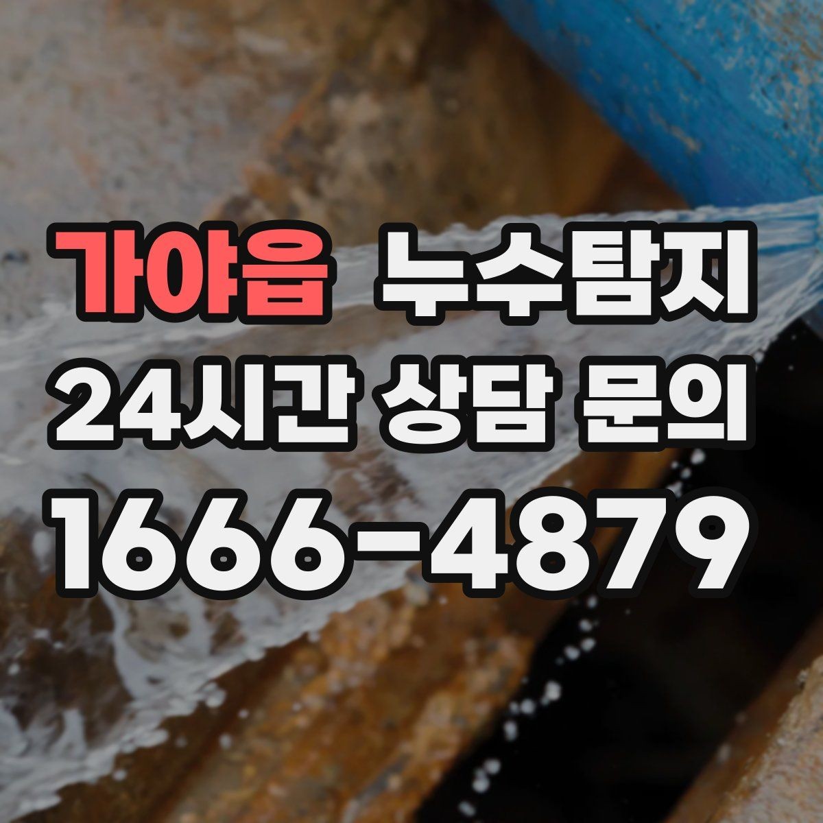 가야읍 누수탐지 가구 뒤 곰팡이 원인 파헤치기