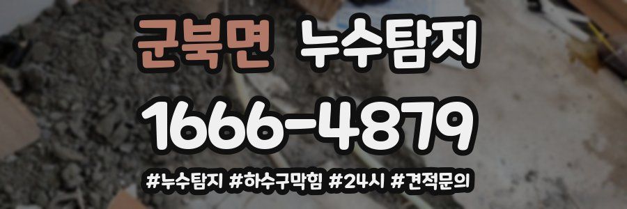 누수닥터 누수탐지