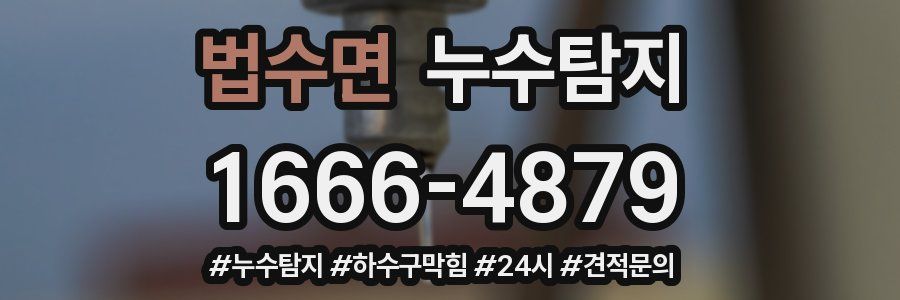 누수닥터 누수탐지