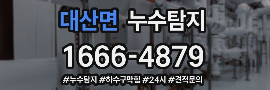 누수닥터 누수탐지