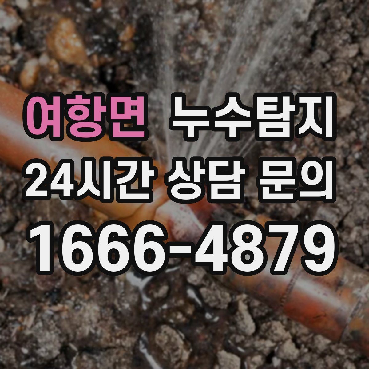 여항면 누수탐지 보고서 읽는 법 초보 가이드