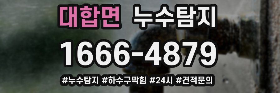 누수닥터 누수탐지