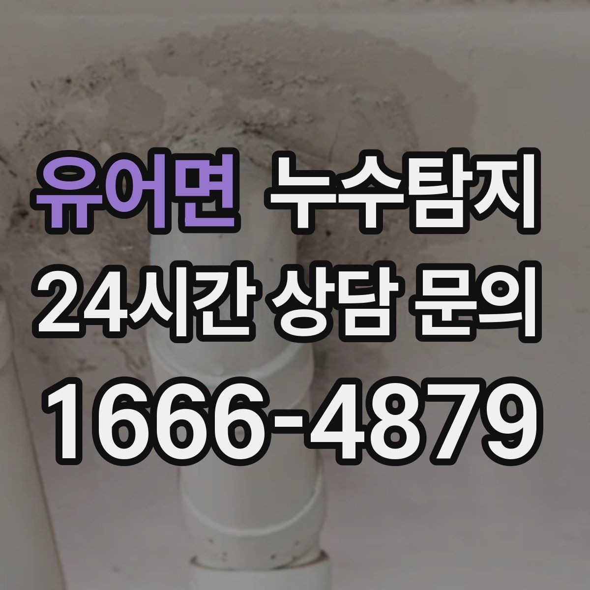 유어면 누수탐지 몰딩 틈새 습기 원인 추적