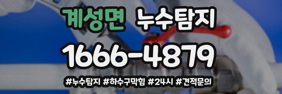 누수닥터 누수탐지