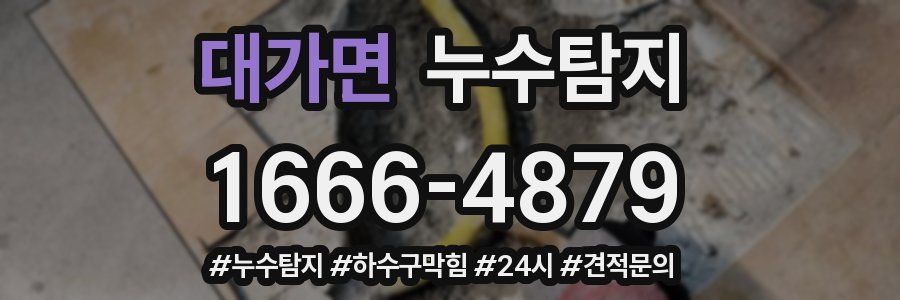 누수닥터 누수탐지