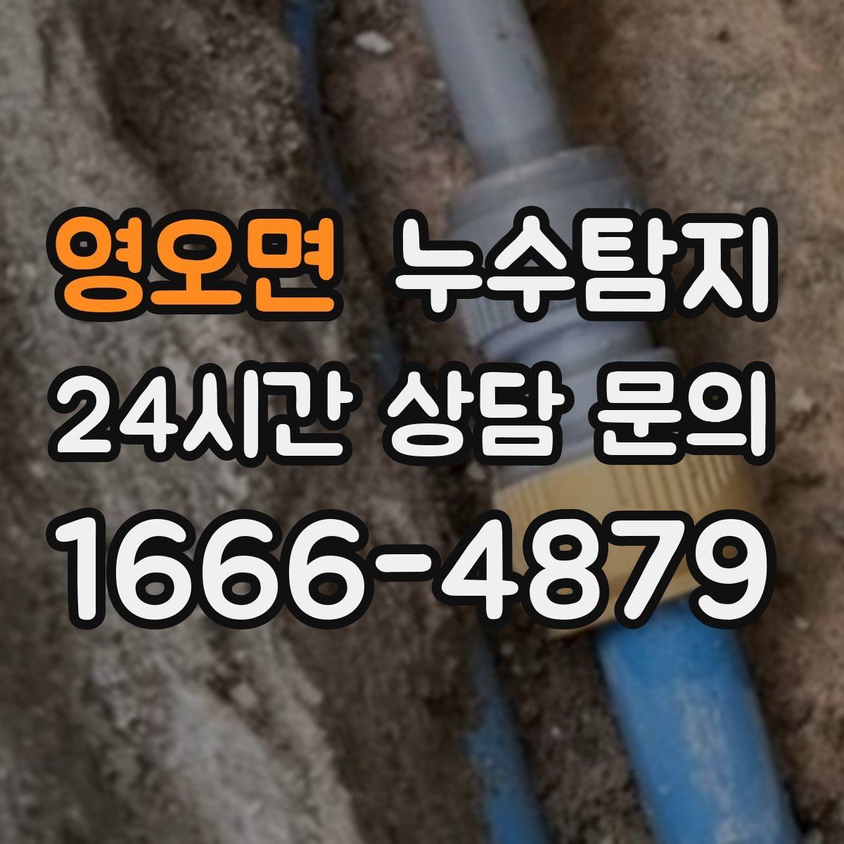 영오면 누수탐지 드레스룸 곰팡이 없앤 하루