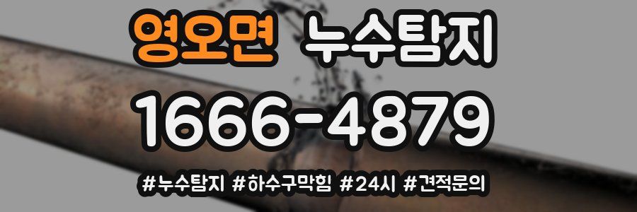 누수닥터 누수탐지