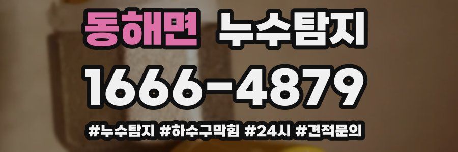 누수닥터 누수탐지