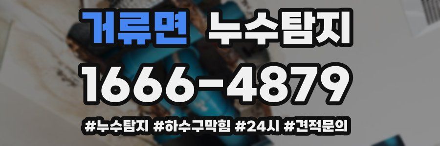 누수닥터 누수탐지