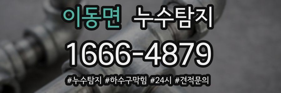 누수닥터 누수탐지
