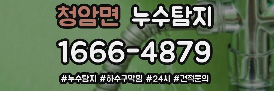 누수닥터 누수탐지