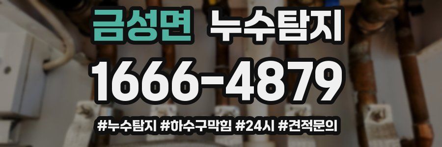 누수닥터 누수탐지