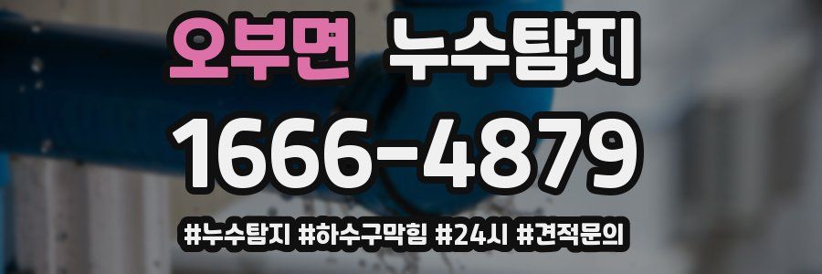 누수닥터 누수탐지