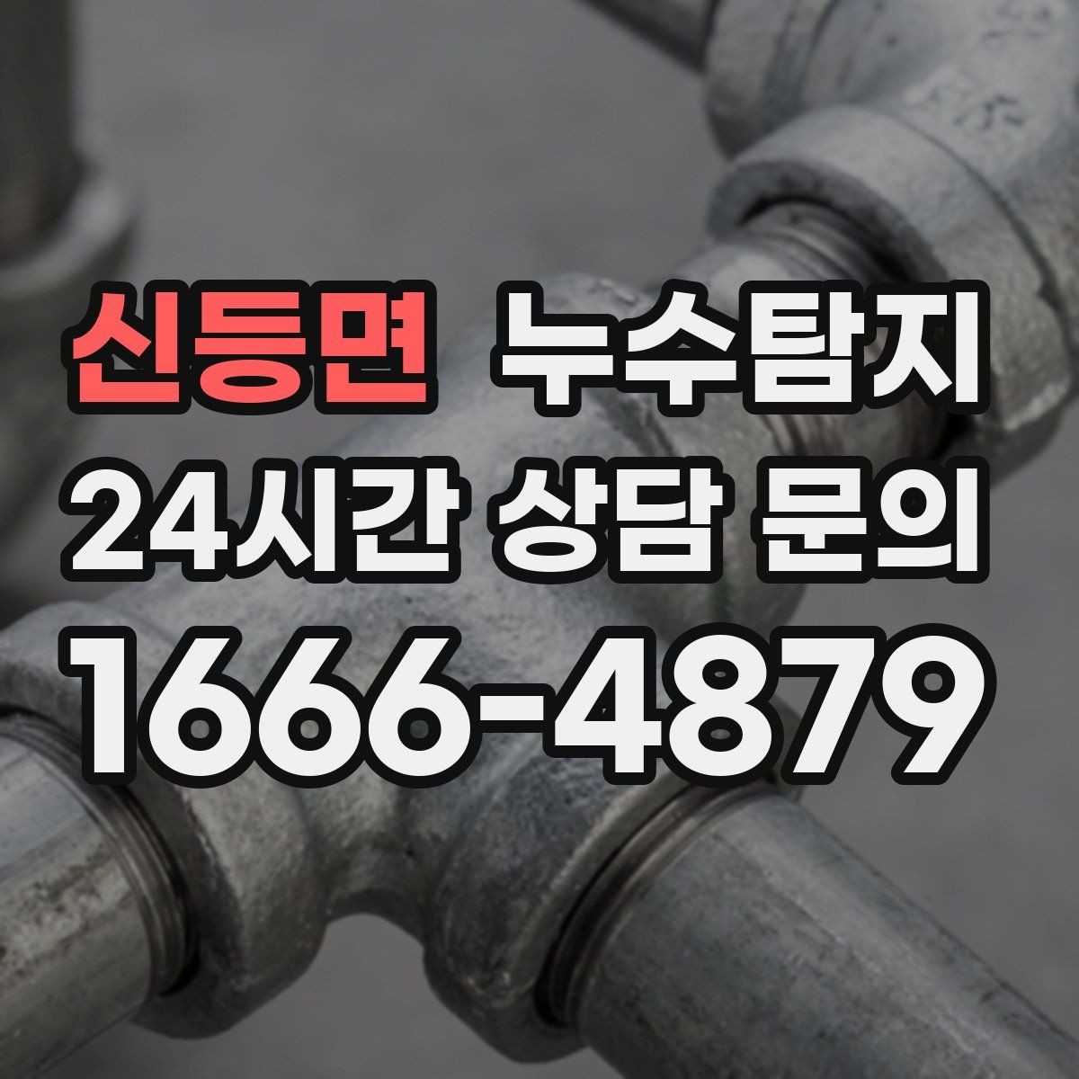 신등면 누수탐지 반려가정 배려 점검 후기