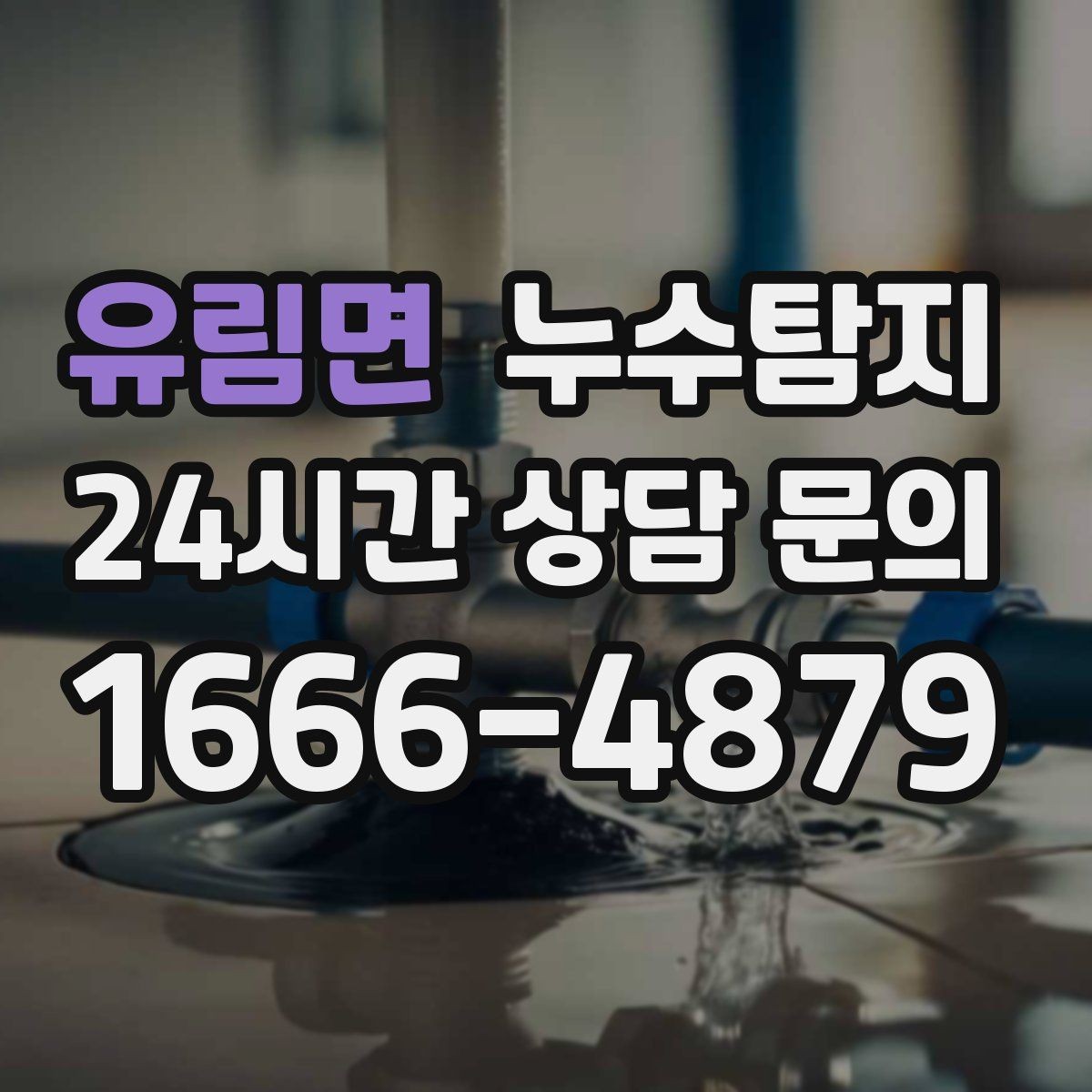 유림면 누수탐지 문제 해결을 위한 비용이 궁금하신가요