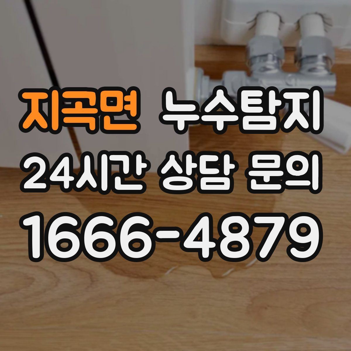 지곡면 누수탐지 예약 즉시 방문 가능 지역