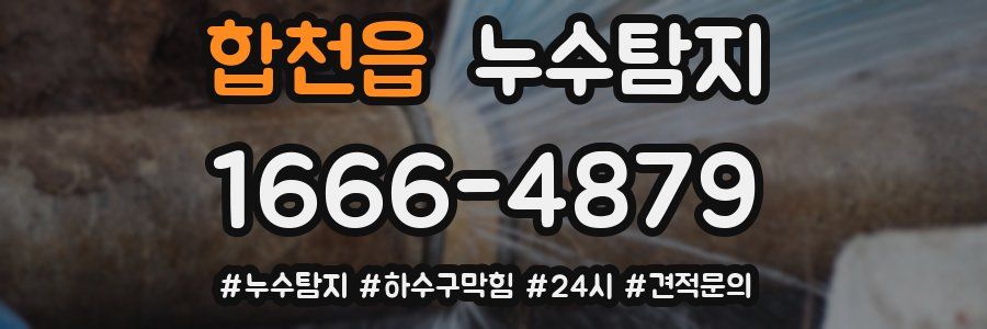 누수닥터 누수탐지