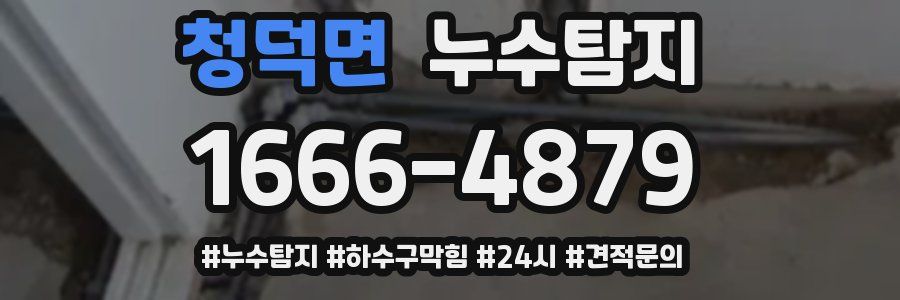 누수닥터 누수탐지