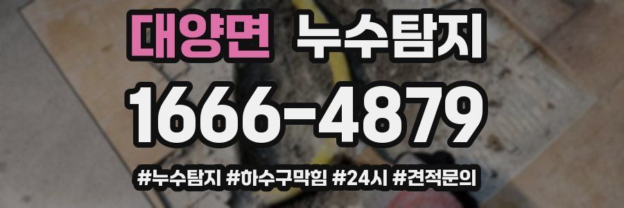누수닥터 누수탐지