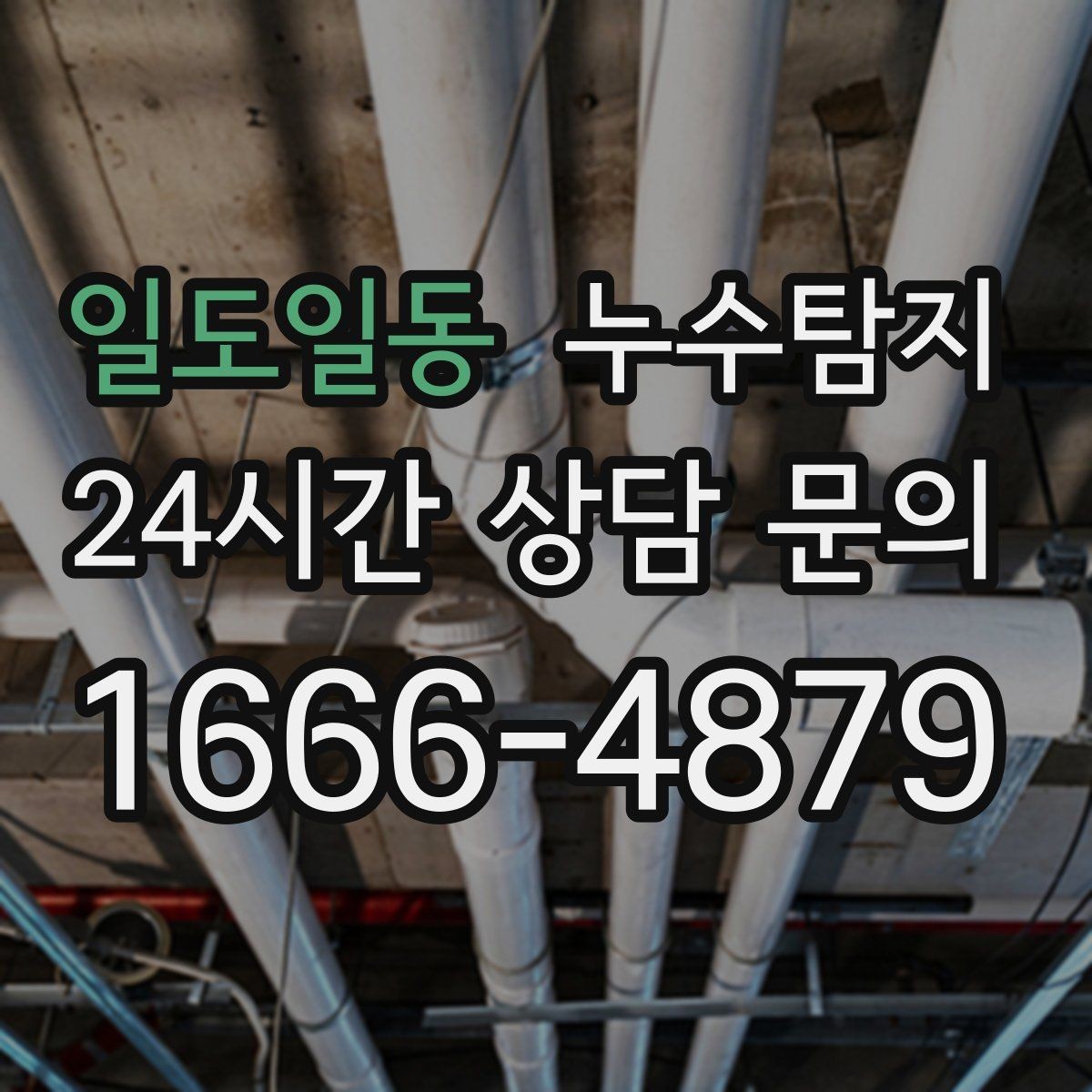 일도일동 누수탐지 처음 상담부터 복구까지 전 과정 리뷰