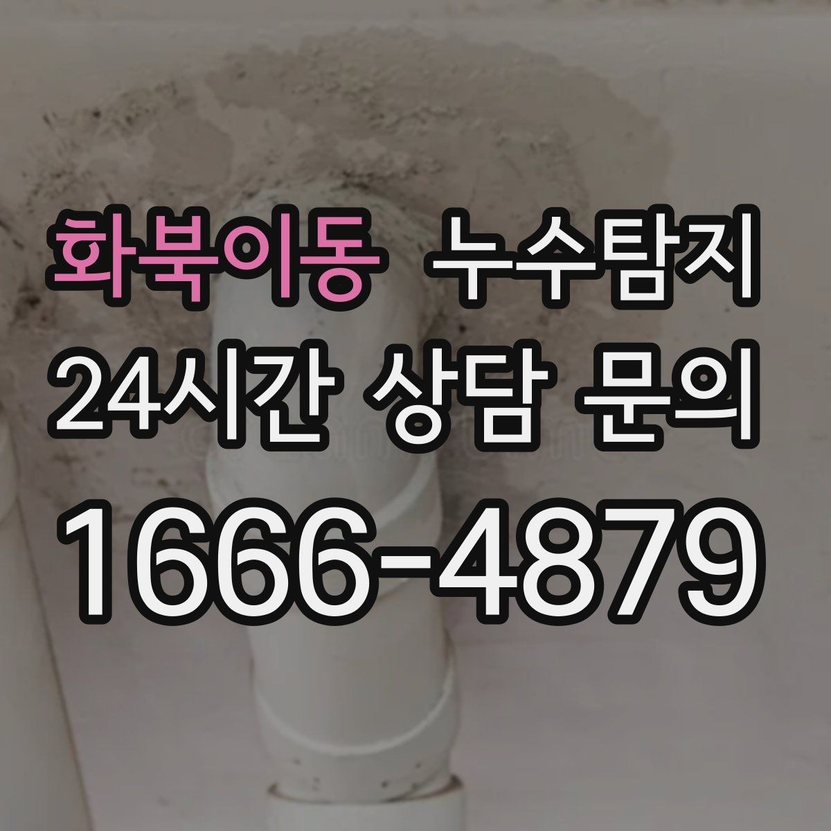 화북이동 누수탐지 단열 결로와 누수 구분 가이드