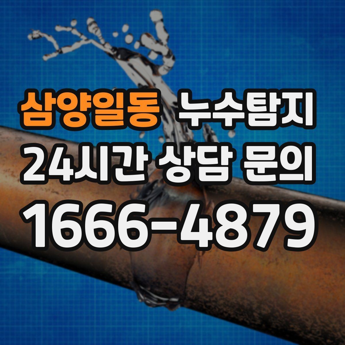 삼양일동 누수탐지 단열 결로와 누수 구분 진단