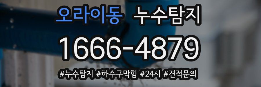 누수닥터 누수탐지
