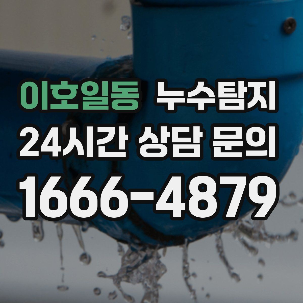 이호일동 누수탐지 벽지 들뜸 빠른 진단 노하우